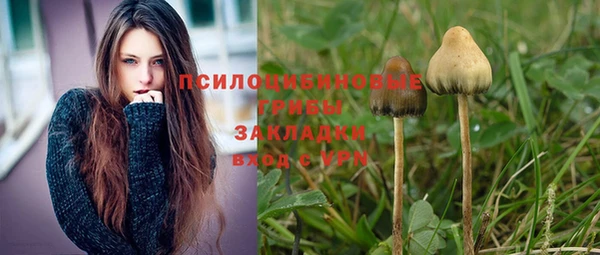 герыч Бородино